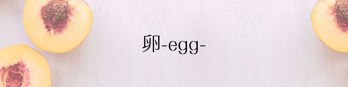 卵-egg-