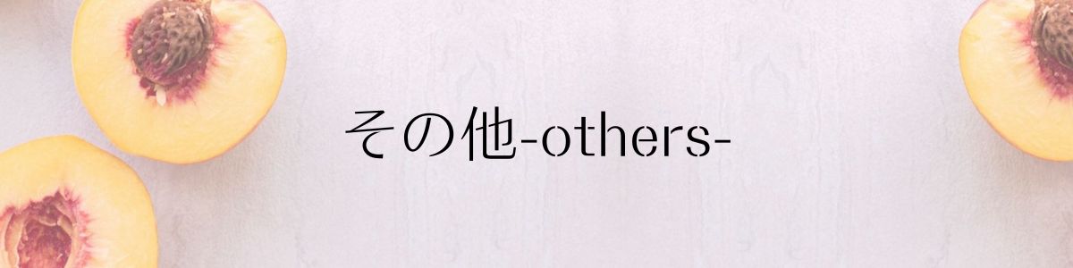 その他-others-